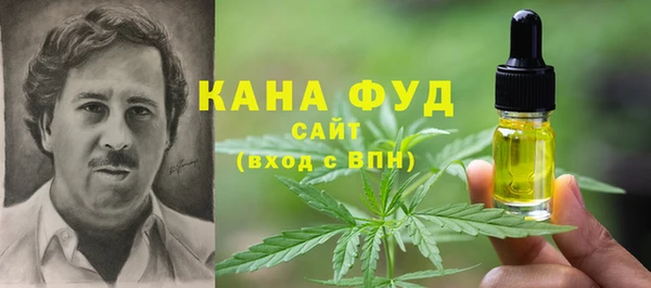 молекула духа Бугульма
