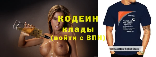 молекула духа Бугульма